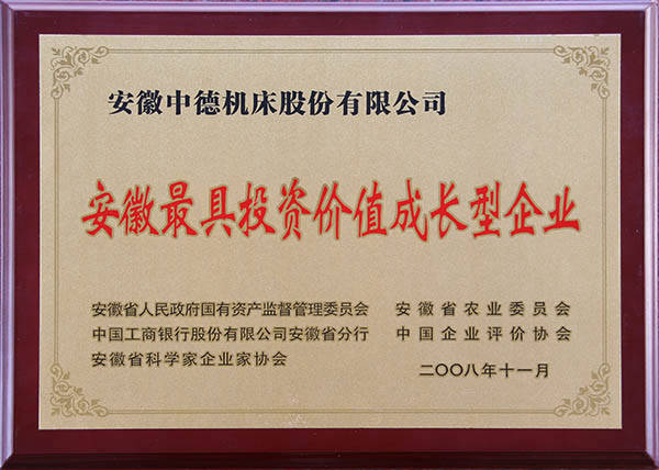 安徽省最具投资代价生长型企业